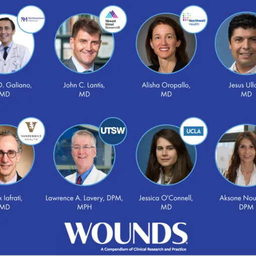 MAVERICKS IDE-Studienprotokoll von führenden US-Experten in WOUNDS veröffentlicht